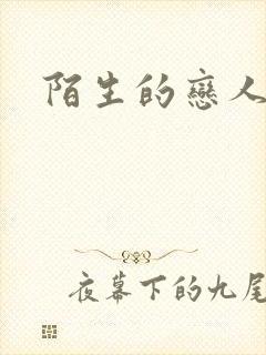 陌生的恋人小说
