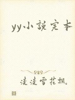 yy小说完本
