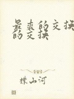 最爽的交换疯狂的交换