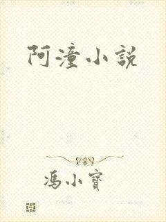 阿潼小说