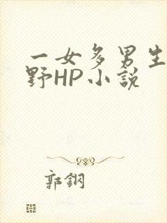 一女多男生活狂野HP小说