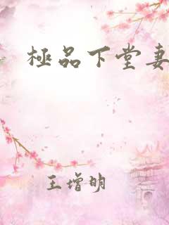 极品下堂妻