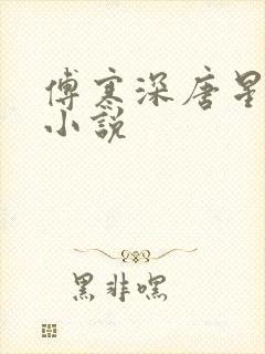 傅寒深唐星挽的小说