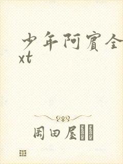 少年阿宾全集txt