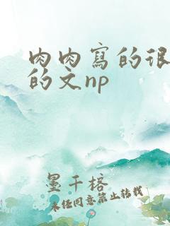 肉肉写的很细致的文np