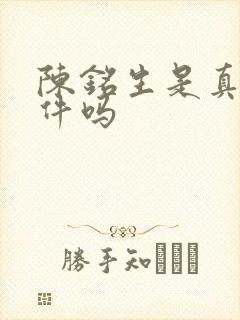 陈铭生是真实事件吗