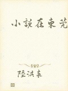 小说在东莞