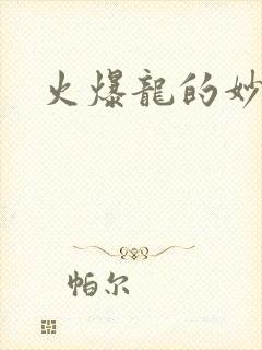 火爆龙的妙管家