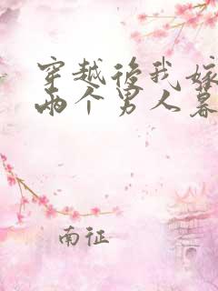 穿越后我嫁给了两个男人暮色酒歌