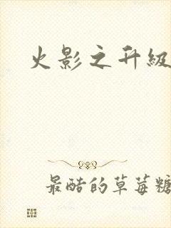 火影之升级狂人