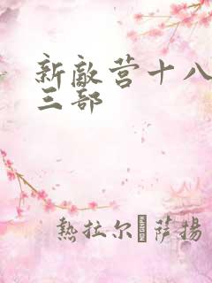新敌营十八年第三部