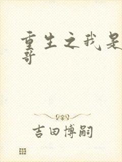 重生之我是大帅哥