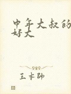 中年大叔的包包好大