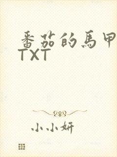番茄的马甲小说TXT