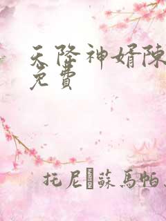 天降神婿陈黄皮免费