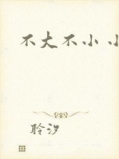 不大不小 小说