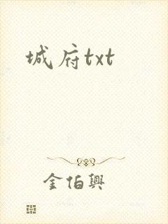 城府txt
