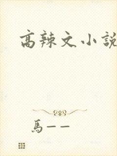 高辣文小说