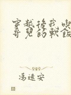 穿越后我吃到了哥儿的软饭炉山灰