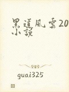 黑道风云20年小说