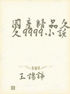 国产精品久久久久9999小说