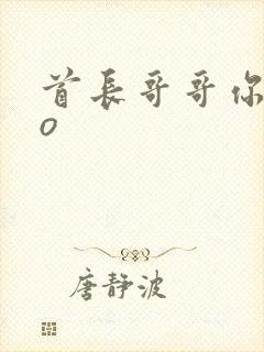 首长哥哥你好po