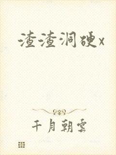 渣渣洞硬x