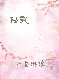 秘战