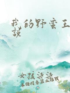 我的野蛮王妃小说