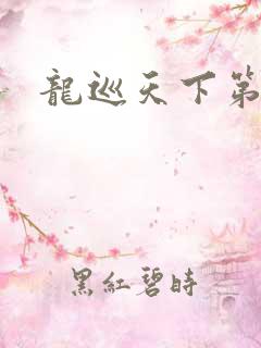 龙巡天下第四部