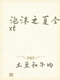 泡沫之夏全集txt