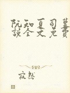 阮知夏司暮寒小说全文免费