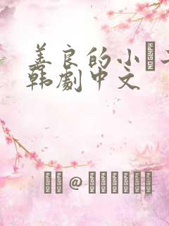 善良的小峓子2韩剧中文