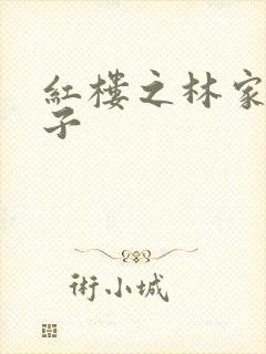 红楼之林家庶长子