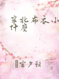宁北布衣小说叫什么