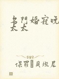 名门婚宠晚安赫太太