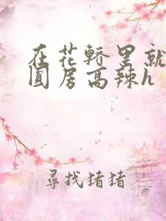 在花轿里就开始圆房高辣h