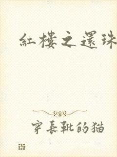 红楼之还珠与溶