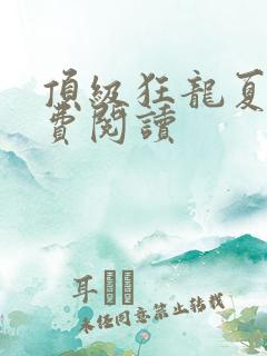 顶级狂龙夏天免费阅读