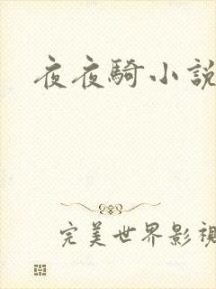 夜夜骑小说