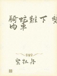 骑蛇难下 双 肉车