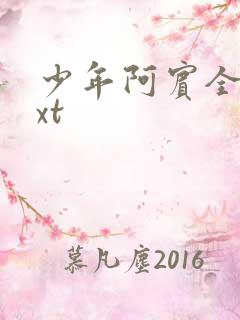 少年阿宾全集txt