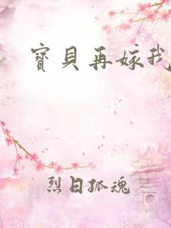宝贝再嫁我一次