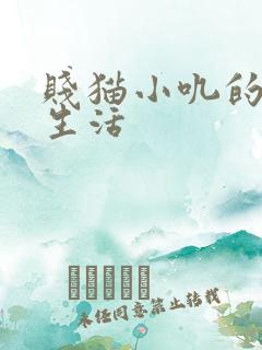 贱猫小叽的幸福生活