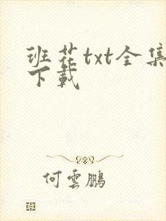 班花txt全集下载
