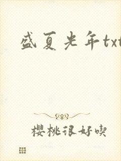 盛夏光年txt
