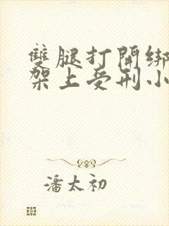 双腿打开绑在刑架上受刑小说