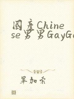 国产Chinese男男GayGayAPP