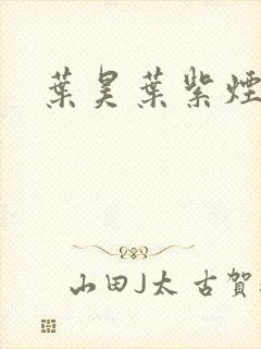 叶昊叶紫烟小说