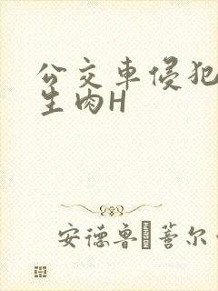 公交车侵犯小男生肉H